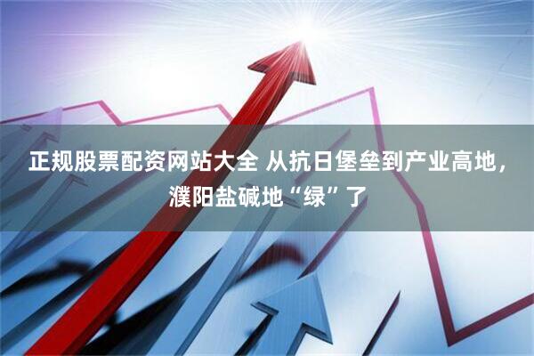 正规股票配资网站大全 从抗日堡垒到产业高地，濮阳盐碱地“绿”了