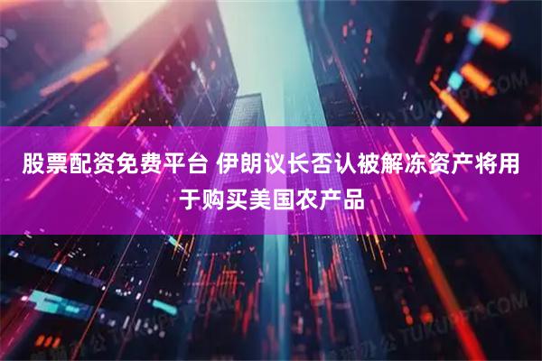 股票配资免费平台 伊朗议长否认被解冻资产将用于购买美国农产品
