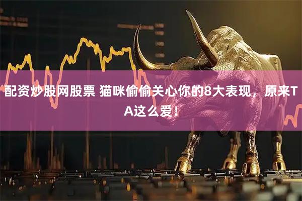 配资炒股网股票 猫咪偷偷关心你的8大表现，原来TA这么爱！